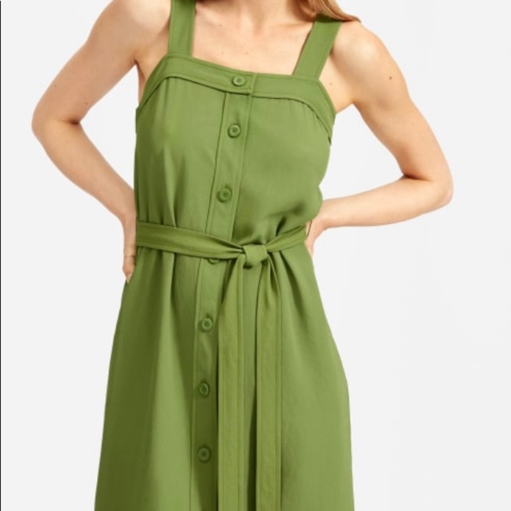 The Japanese GoWeave Picnic Dress